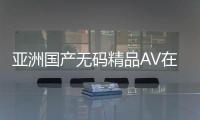 亚洲国产无码精品AV在久久平台上